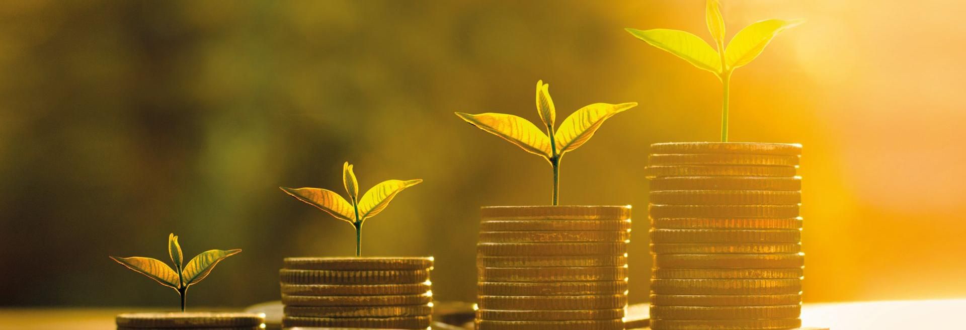 Additional favourable changes in the non-refundable cash incentive system