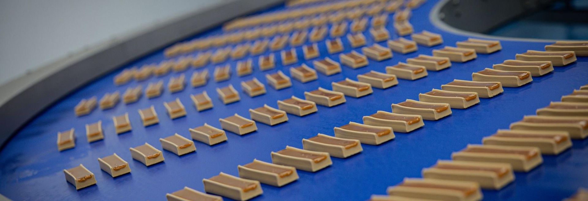 BioTechUSA Boosts Production in Hungary